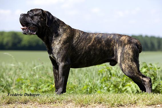 CH. Cerdan Du Clos des Trois Rivières