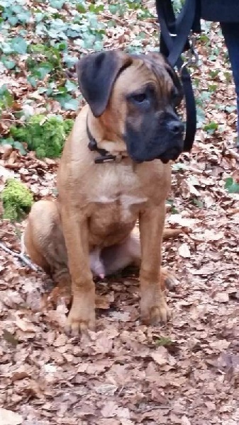 L'marley du domaine de Tarmac