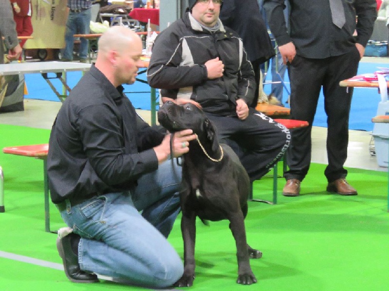 Exposition Luxembourg 26-03-2016