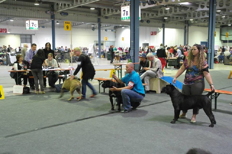 exposition Luxembourg 31-08-2014